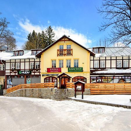 Hotel Erika Spindleruv Mlyn Bagian luar foto