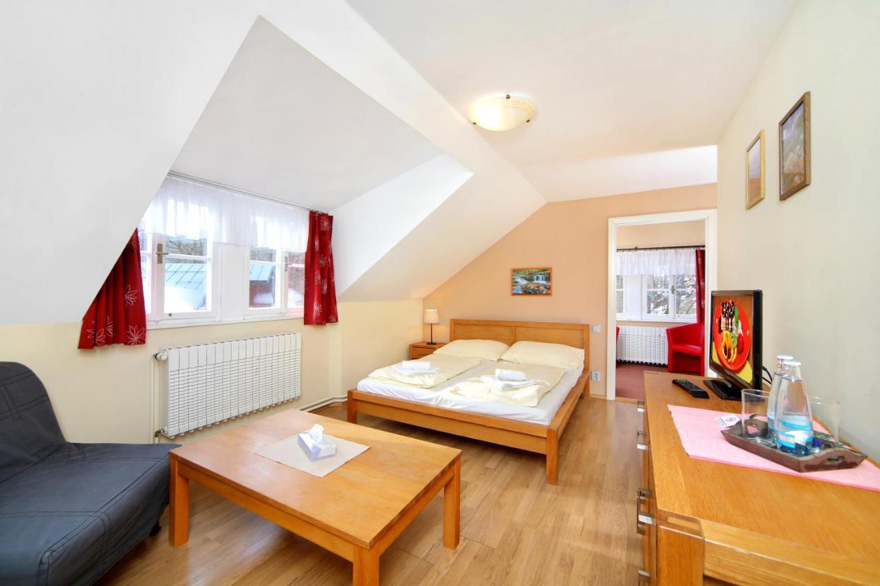 Hotel Erika Spindleruv Mlyn Bagian luar foto