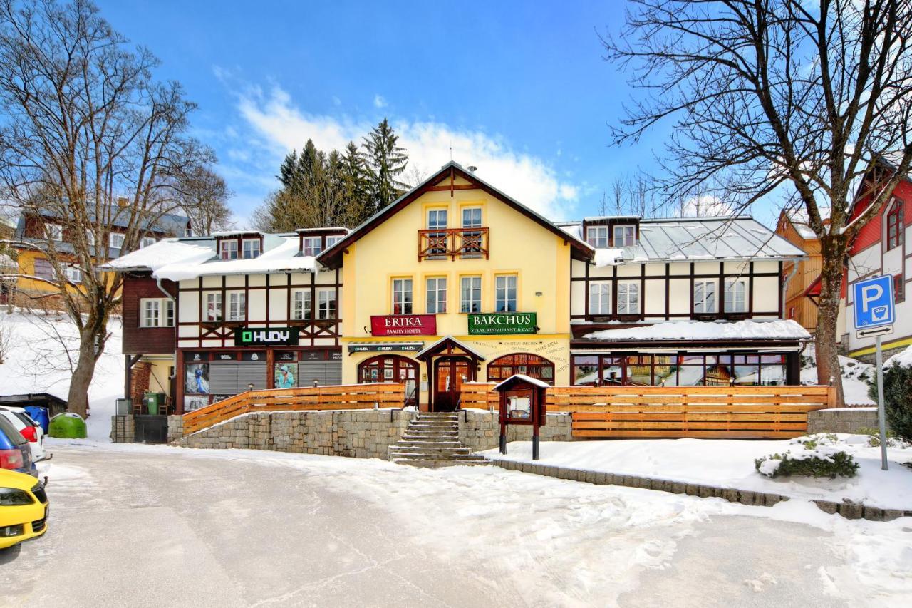 Hotel Erika Spindleruv Mlyn Bagian luar foto