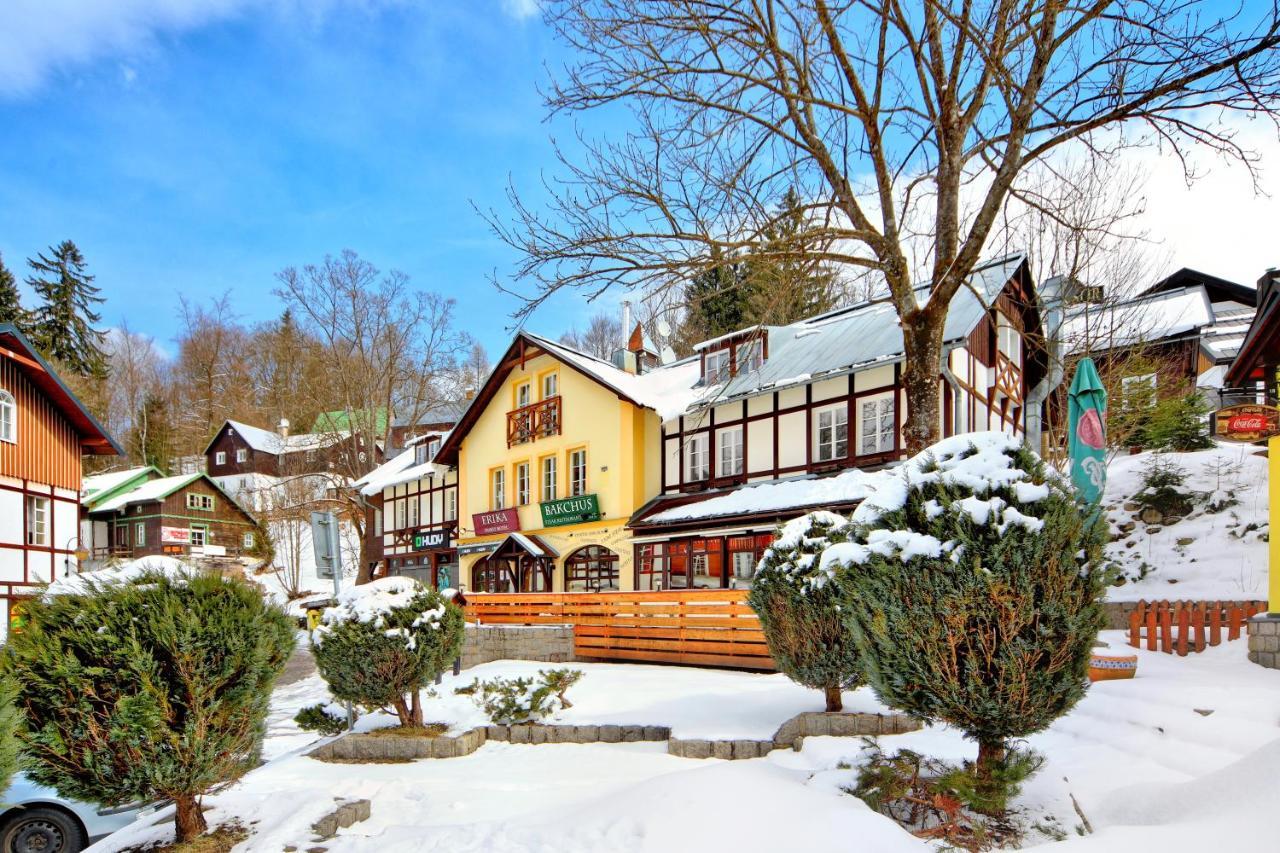 Hotel Erika Spindleruv Mlyn Bagian luar foto