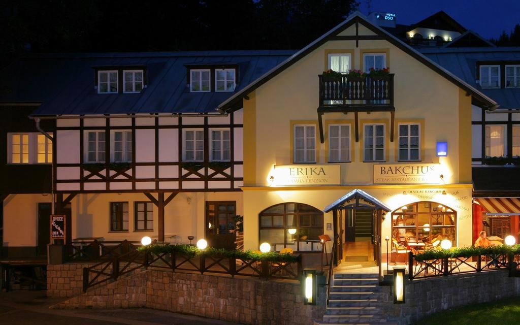 Hotel Erika Spindleruv Mlyn Bagian luar foto